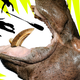 Illustration for article titled 9 Notorious Animals Who Fucked Shit Up Like a Boss